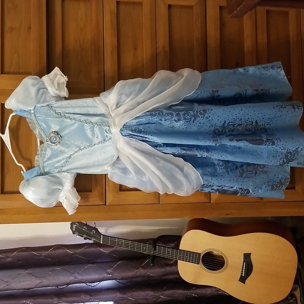 Cinderella Costume Disney Store